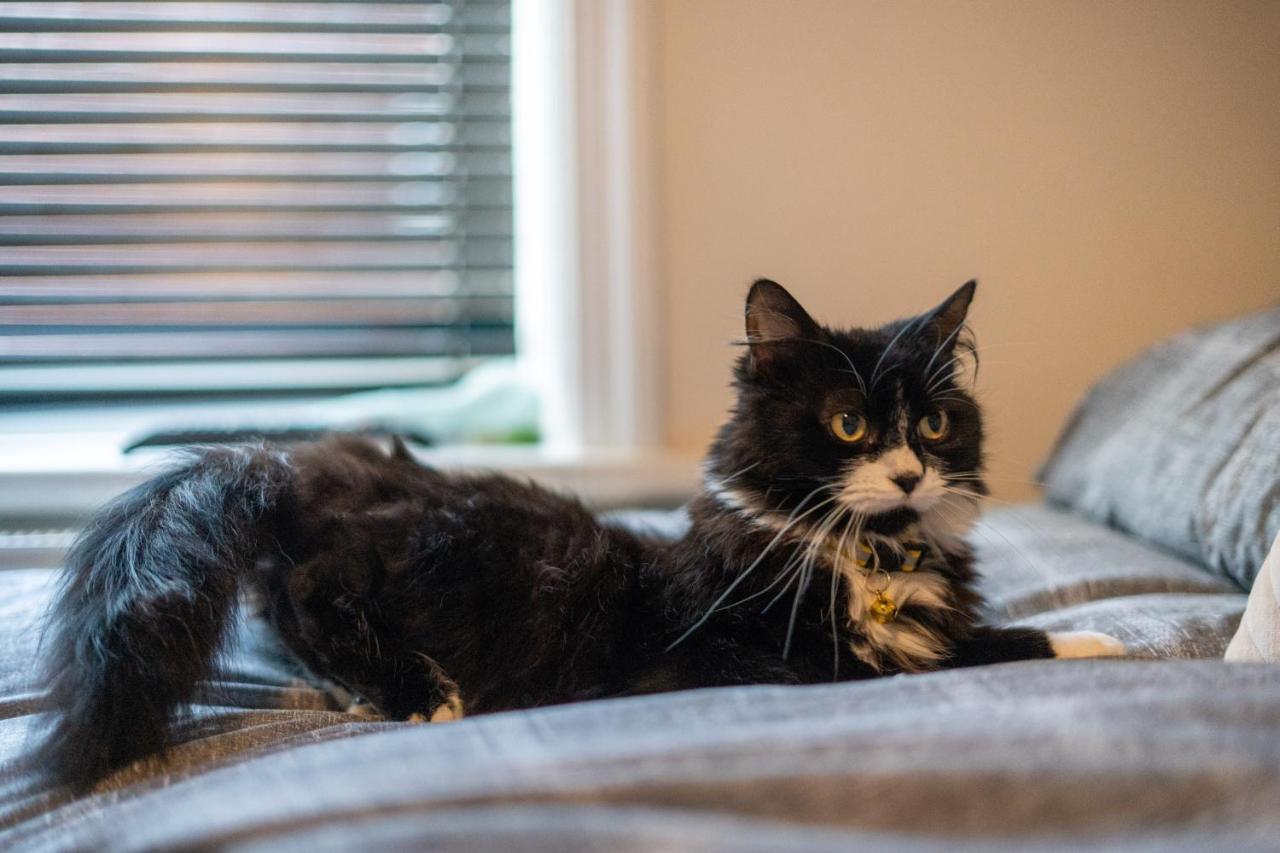 ブラックプールCavendish Cat And Gaming Houseアパートメント エクステリア 写真