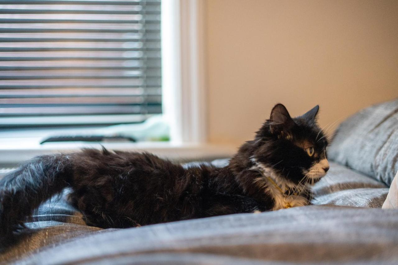 ブラックプールCavendish Cat And Gaming Houseアパートメント エクステリア 写真