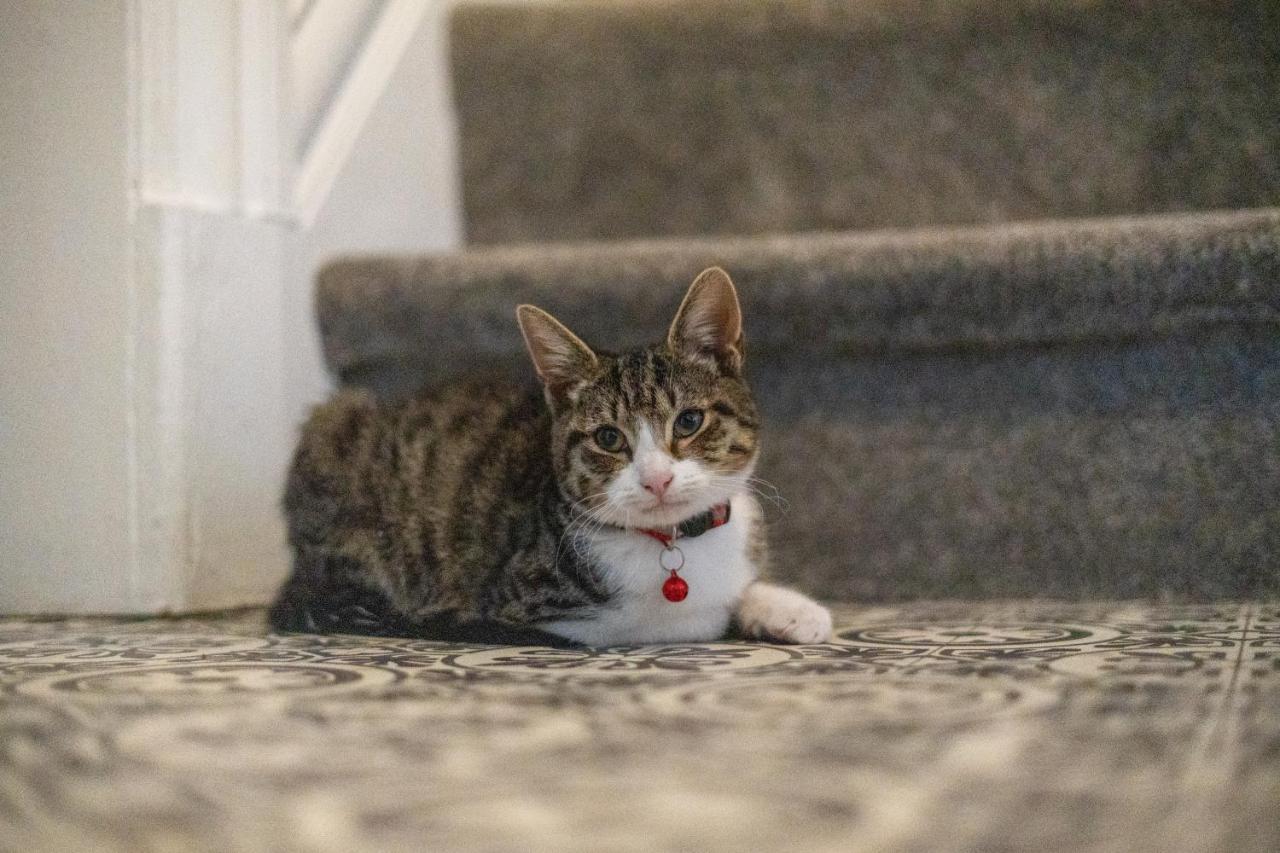 ブラックプールCavendish Cat And Gaming Houseアパートメント エクステリア 写真